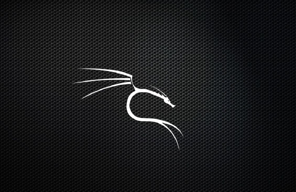 Kali Linux on Apple Silicon [2024]