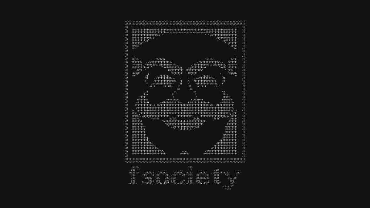 fs0ciety